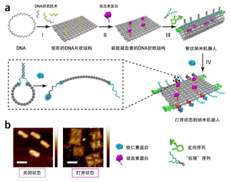 高中生物课白学了？DNA竟被玩成了这副模样487 / 作者:UFO爱好者 / 帖子ID:76865