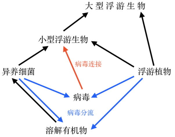 科学家找到了噬食病毒的生物372 / 作者:UFO爱好者 / 帖子ID:76563