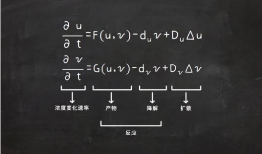 这些神秘圆圈，与图灵的理论有关？850 / 作者:UFO爱好者 / 帖子ID:76307