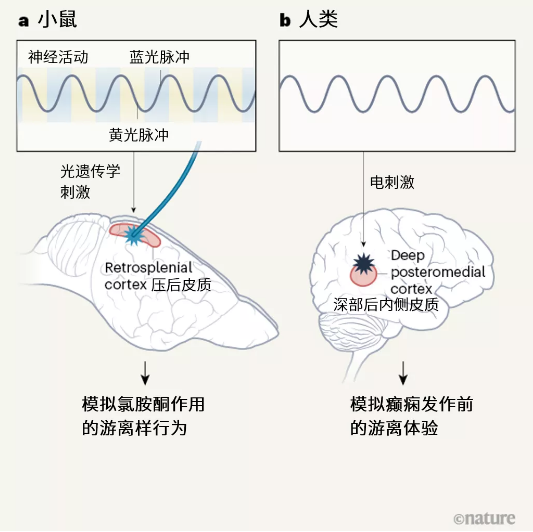 “灵魂出窍”是什么体验?192 / 作者:UFO爱好者 / 帖子ID:76191 “灵魂出窍”是什么体验?192 / 作者:UFO爱好者 / 帖子ID:76191