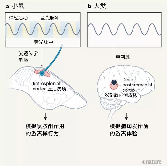 ϡʲô飿705 / :UFO / ID:76191