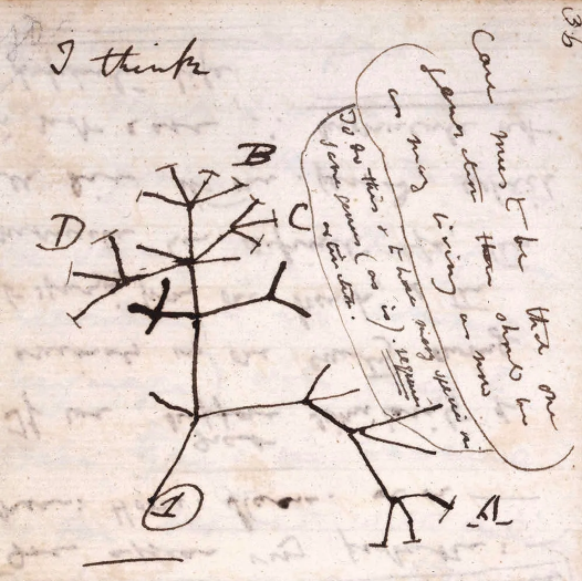 达尔文之过：人类真的和其他生物平等吗？256 / 作者:UFO爱好者 / 帖子ID:76190