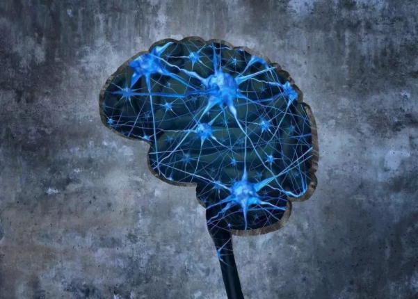 记忆是怎么形成的？MIT 科学家揭示神秘过程733 / 作者:UFO爱好者 / 帖子ID:75852