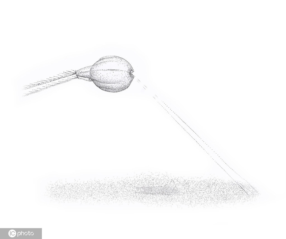 科学家在海底最深处发现海洋新物种：全透明水母272 / 作者:UFO爱好者 / 帖子ID:75270