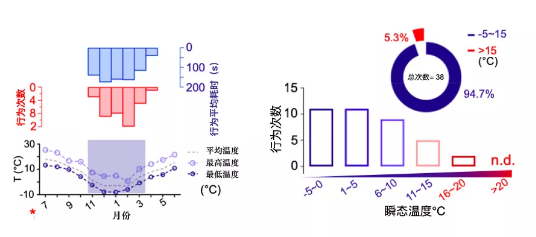 大熊猫酷爱新鲜马粪？原因竟然是......338 / 作者:UFO爱好者 / 帖子ID:75037