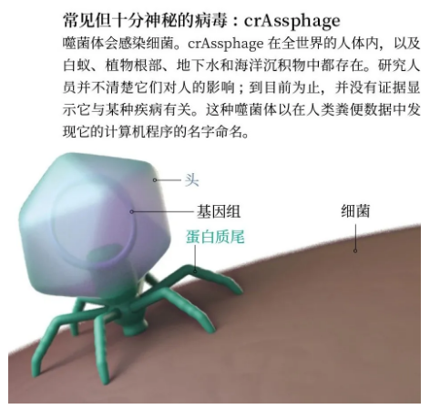 你的身体里，正住着380万亿个病毒313 / 作者:UFO爱好者 / 帖子ID:74554
