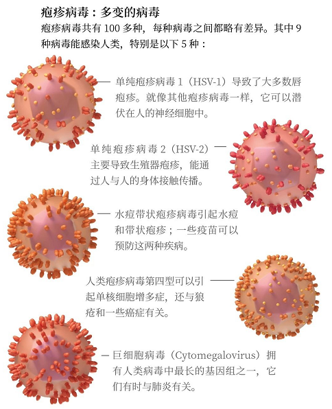 你的身体里，正住着380万亿个病毒247 / 作者:UFO爱好者 / 帖子ID:74554