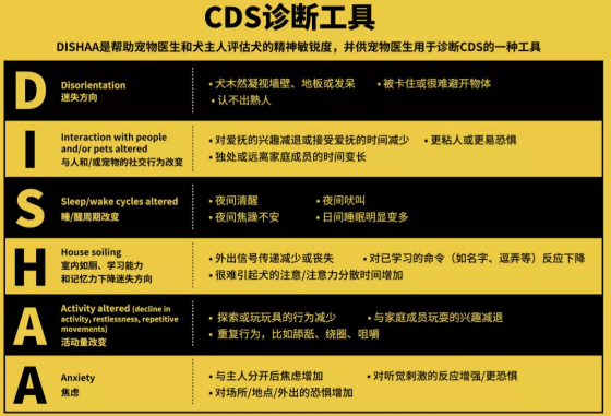 癫痫狗狗的福音！这款犬粮，不可思议102 / 作者:UFO爱好者 / 帖子ID:74442