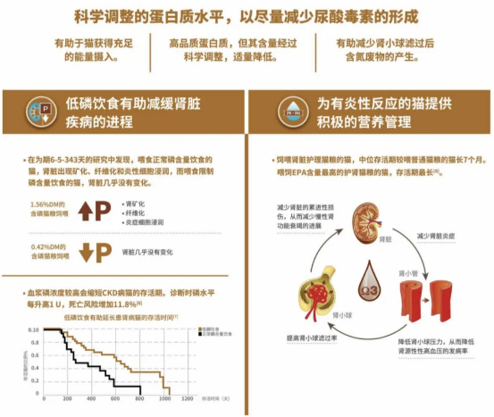 癫痫狗狗的福音！这款犬粮，不可思议93 / 作者:UFO爱好者 / 帖子ID:74442