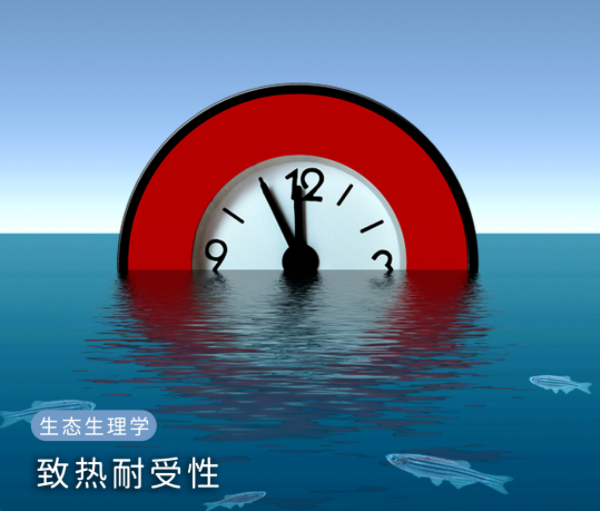气候变化和物种进化,哪个更快一些?150 / 作者:UFO爱好者 / 帖子ID:74207 气候变化和物种进化,哪个更快一些?150 / 作者:UFO爱好者 / 帖子ID:74207