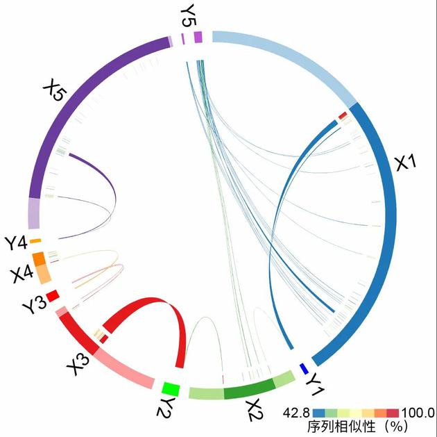 科学家首次重建现生哺乳动物共同祖先的基因组图谱740 / 作者:UFO爱好者 / 帖子ID:74198
