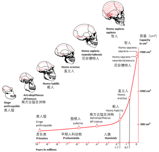 头越大,就越聪明吗?320 / 作者:UFO爱好者 / 帖子ID:73855 头越大,就越聪明吗?320 / 作者:UFO爱好者 / 帖子ID:73855