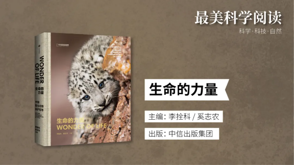 2020“最美科学阅读”榜单出炉！124 / 作者:UFO爱好者 / 帖子ID:73767