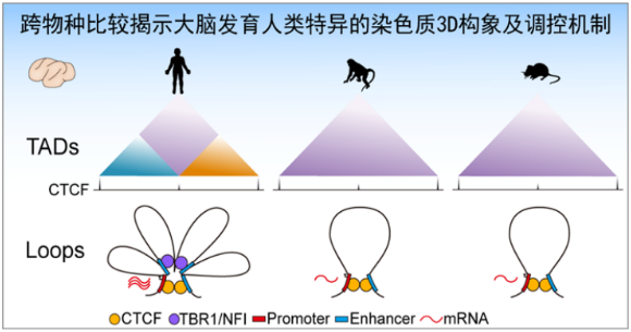 2021年1月28日环球科学要闻941 / 作者:UFO爱好者 / 帖子ID:73572