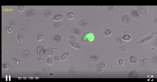 2021年2月5日环球科学要闻571 / 作者:UFO爱好者 / 帖子ID:73328