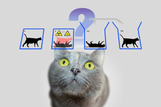 量子世界里有两只猫,一只是薛定谔的猫,另一只是......56 / 作者:UFO爱好者 / 帖子ID:73325 量子世界里有两只猫,一只是薛定谔的猫,另一只是......56 / 作者:UFO爱好者 / 帖子ID:73325