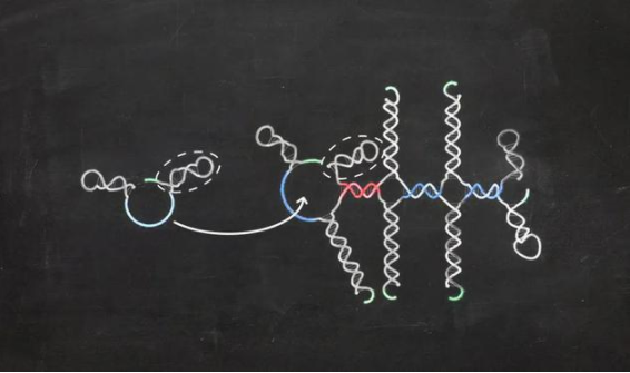 转运RNA：生命起源中的一种复杂关联923 / 作者:UFO爱好者 / 帖子ID:72189