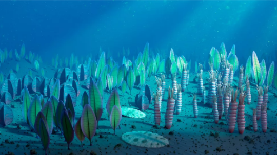 5.55亿年前的海洋生物基因仍存在人体中866 / 作者:UFO爱好者 / 帖子ID:71635 5.55亿年前的海洋生物基因仍存在人体中866 / 作者:UFO爱好者 / 帖子ID:71635
