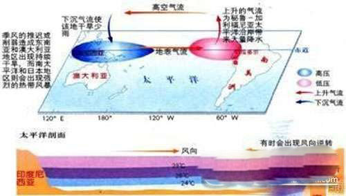 2017年厄尔尼诺最新消息，对我国产生的影响867 / 作者:UFO爱好者 / 帖子ID:84339
