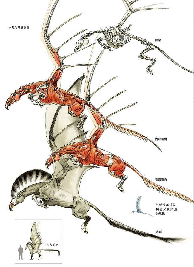 这些不存在的生物，被科学家送上了天362 / 作者:UFO爱好者 / 帖子ID:69860