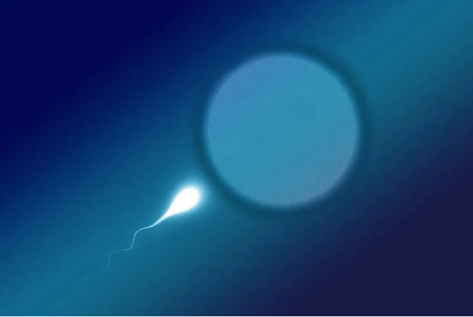 哈佛团队：精子数将下降至0是过度推演930 / 作者:UFO爱好者 / 帖子ID:69399