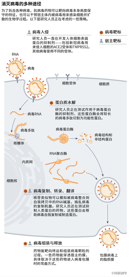 SARS时半途而废的抗病毒药物研发这次能成功吗?827 / 作者:UFO爱好者 / 帖子ID:68283 SARS时半途而废的抗病毒药物研发这次能成功吗?827 / 作者:UFO爱好者 / 帖子ID:68283