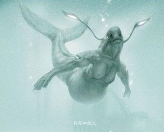 黑鳞鲛人就是美人鱼？美人鱼真的存在吗?539 / 作者:UFO爱好者 / 帖子ID:85475