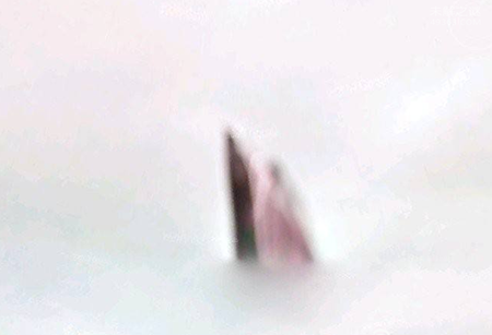 世界上有神仙吗?“神仙显灵”的画面真相如何?796 / 作者:UFO爱好者 / 帖子ID:76538 世界上有神仙吗?“神仙显灵”的画面真相如何?796 / 作者:UFO爱好者 / 帖子ID:76538