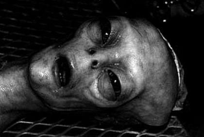 外星人智商1亿？外星人的智商是多少(深度解析)680 / 作者:UFO爱好者 / 帖子ID:105763