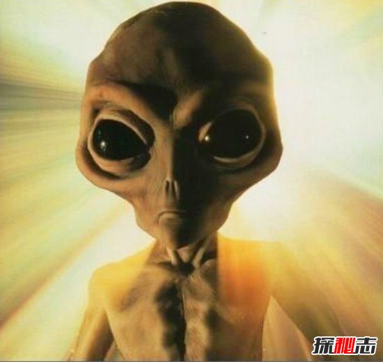 人类是被设计出来的？DNA中发现外星制造（仅为科学猜测）281 / 作者:UFO爱好者 / 帖子ID:97004