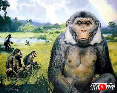 世界是一个巨大的程序?人类世界是虚拟的证据揭秘(高级程序)144 / 作者:UFO爱好者 / 帖子ID:105659