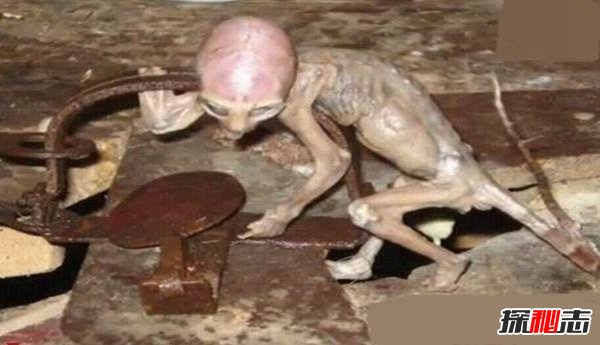 太空存在生物的证据曝光,宇宙中最恐怖的生物揭秘212 / 作者:UFO爱好者 / 帖子ID:105523
