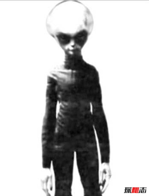 齐塔人和昴宿星人,地球上真实存在的外星人726 / 作者:UFO爱好者 / 帖子ID:98401