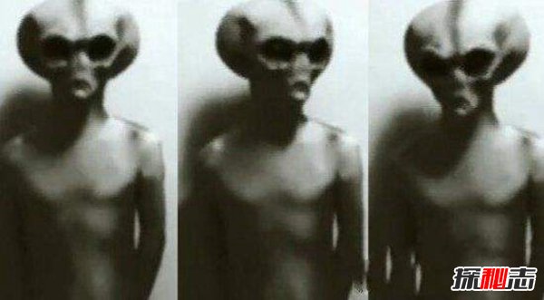 齐塔人和昴宿星人,地球上真实存在的外星人925 / 作者:UFO爱好者 / 帖子ID:98401