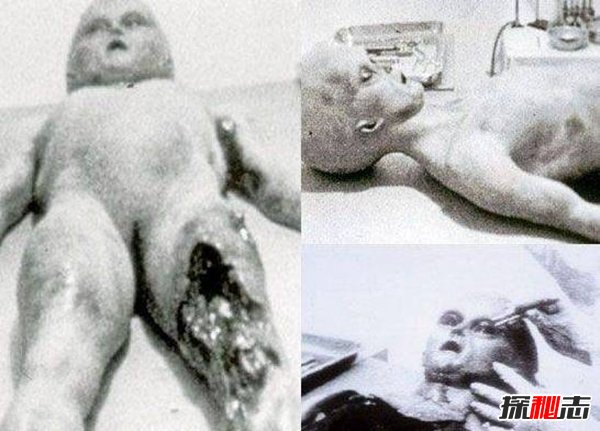 张召忠谈51区外星人,竟有18个外星人在帮美国做事32 / 作者:UFO爱好者 / 帖子ID:98398
