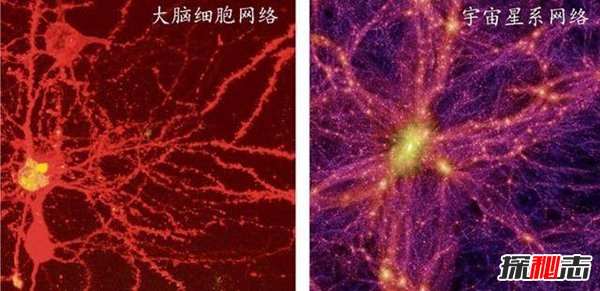 宇宙其实是人的大脑，人脑结构竟与宇宙结构极其的相似649 / 作者:UFO爱好者 / 帖子ID:98303