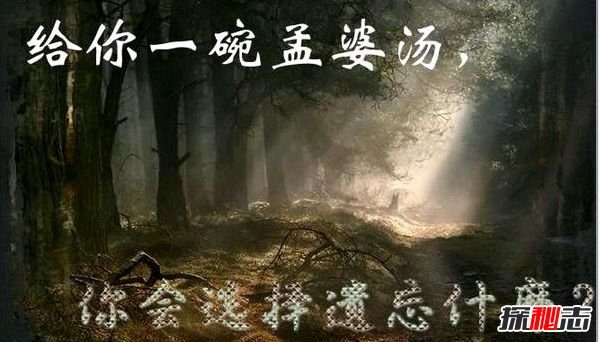 不愿意喝孟婆汤代价 小白猪转世成人看见屠夫就逃跑（假的）427 / 作者:UFO爱好者 / 帖子ID:105654