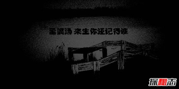 不愿意喝孟婆汤代价 小白猪转世成人看见屠夫就逃跑（假的）258 / 作者:UFO爱好者 / 帖子ID:105654