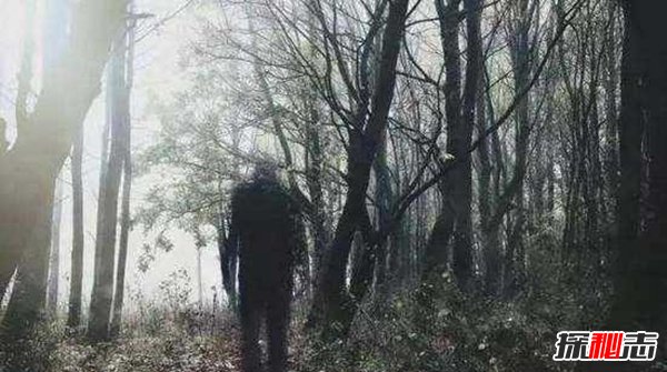 平行时空的真实案例 女子睡醒穿越到另一个时空（谣言）584 / 作者:UFO爱好者 / 帖子ID:105652