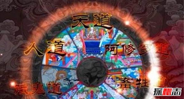 六道轮回真实案例,夜载五人竟是去投猪胎的（杜撰故事）195 / 作者:UFO爱好者 / 帖子ID:105449