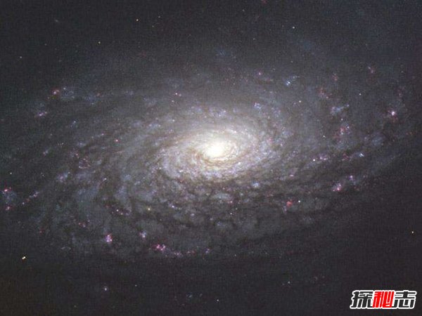 向日葵星系之谜,竟可以恐怖吞噬其它小星系567 / 作者:UFO爱好者 / 帖子ID:98359