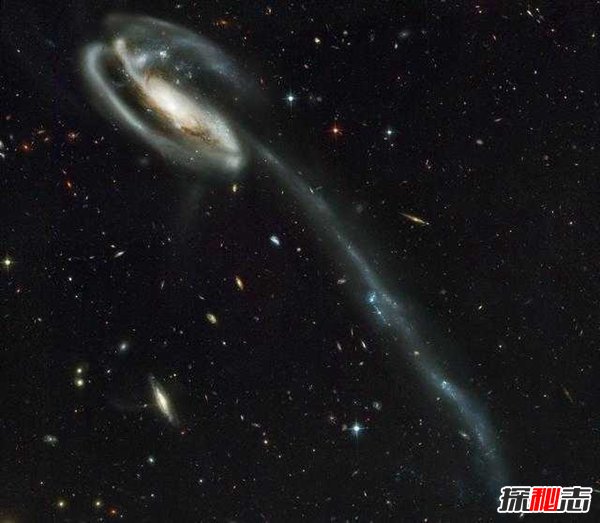 蝌蚪星系之谜, 蝌蚪星系竟然是宇宙中的活化石854 / 作者:UFO爱好者 / 帖子ID:98355