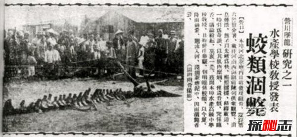昆仑山冰封的真龙是真的吗,传说真龙真身曝光(图片)177 / 作者:UFO爱好者 / 帖子ID:105439