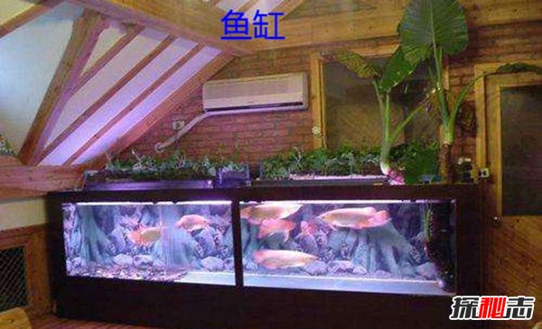 装修风水十大禁忌,居住者五行喜忌很重要啊!(封建迷信)539 / 作者:UFO爱好者 / 帖子ID:105428