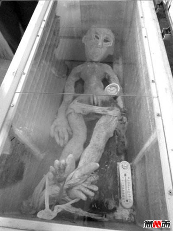 电网电死外星人是真的吗?揭秘电死外星人事件的真相861 / 作者:UFO爱好者 / 帖子ID:105386