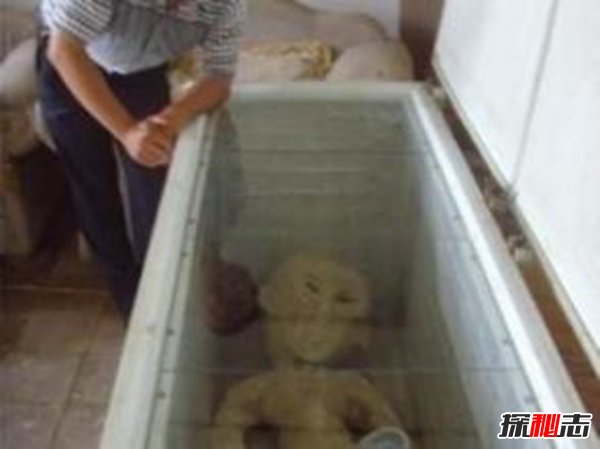 电网电死外星人是真的吗?揭秘电死外星人事件的真相879 / 作者:UFO爱好者 / 帖子ID:105386