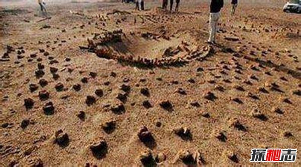 罗布泊沙民事件,像丧尸一样不知疼痛122 / 作者:UFO爱好者 / 帖子ID:105358