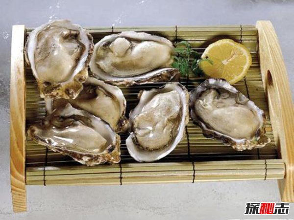 美味:关于牡蛎的13个事实真相(可转换性别)142 / 作者:UFO爱好者 / 帖子ID:105326
