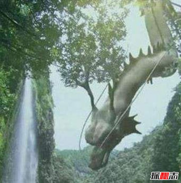 龙下凡真实事件 揭秘民间真实龙的故事（网友谣传）654 / 作者:UFO爱好者 / 帖子ID:105252