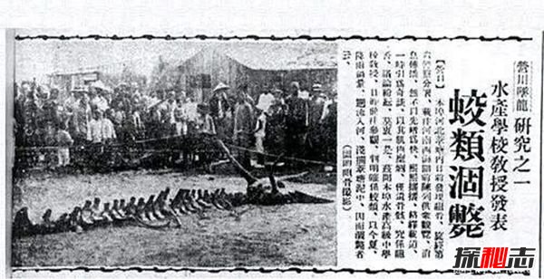 龙真的存在吗?一男子挖到一条活龙319 / 作者:UFO爱好者 / 帖子ID:105238